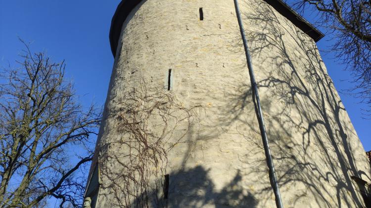 Bucksturm
